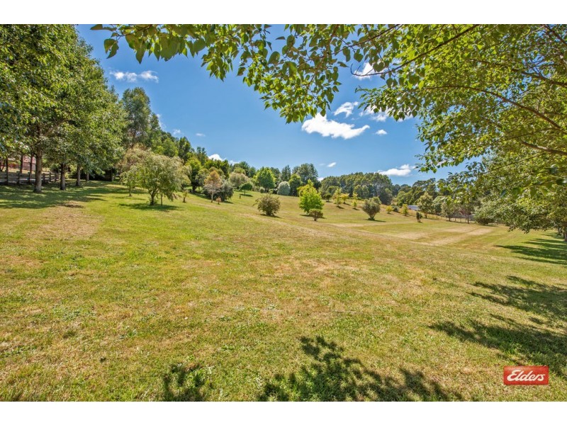 78 West Ridgley Road, Ridgley TAS 7321