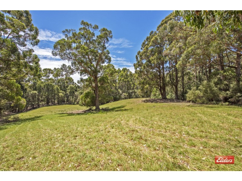 538 Seabrook Road, Mount Hicks TAS 7325