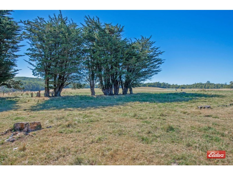 0 Upper Natone Road, Upper Natone TAS 7321