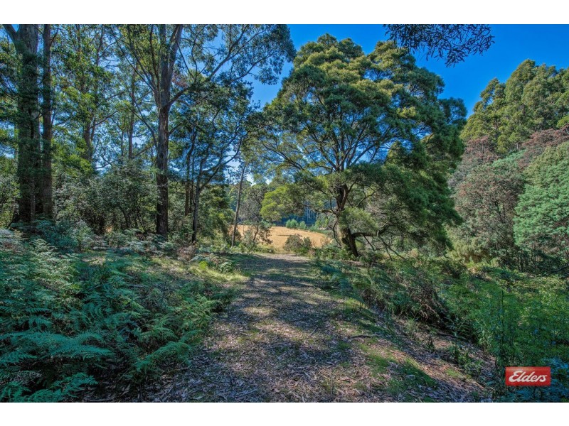 0 Upper Natone Road, Upper Natone TAS 7321