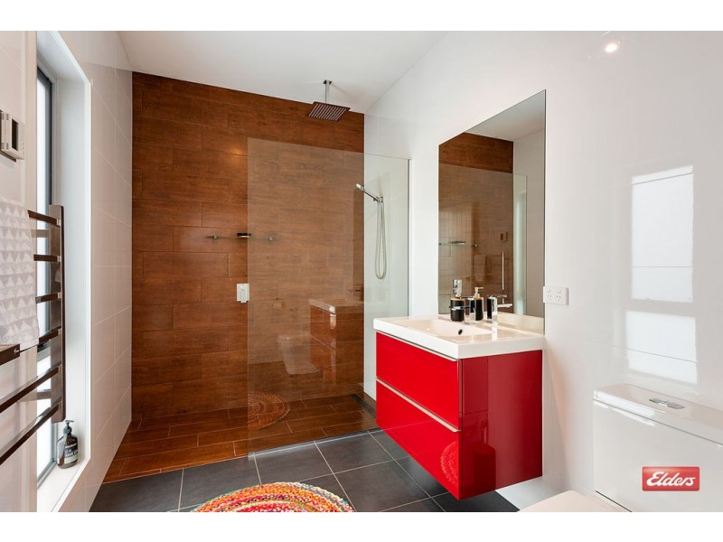 20 Chanel Street, Park Grove TAS 7320