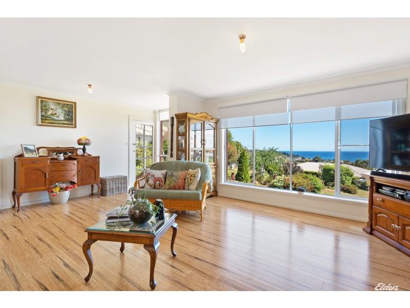 78 South Road, Penguin TAS 7316