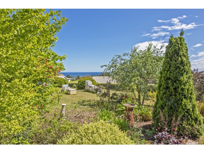 78 South Road, Penguin TAS 7316