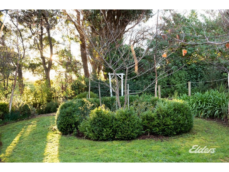 102 Mooreville Road, Shorewell Park TAS 7320