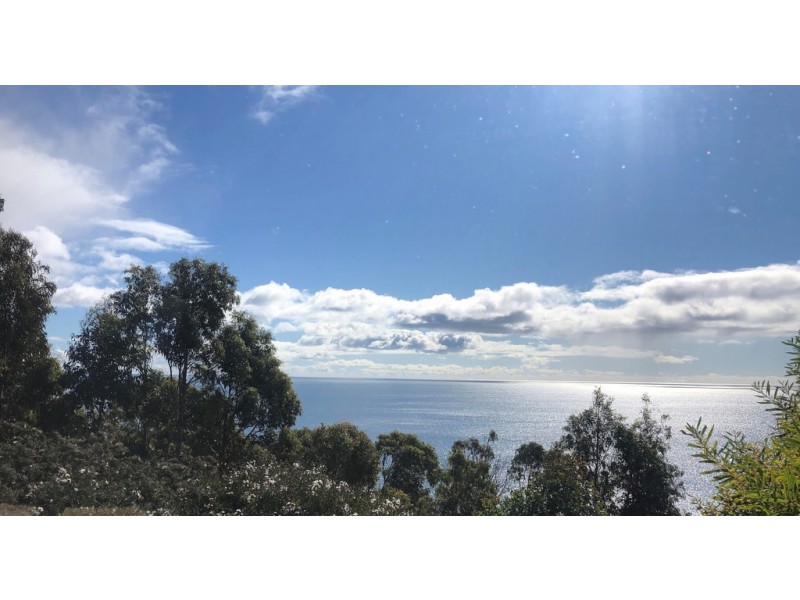 428 Tollymore Road, Table Cape TAS 7325