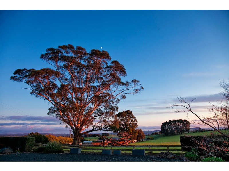 617 Deep Creek Road, Wynyard TAS 7325