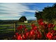 617 Deep Creek Road, Wynyard TAS 7325