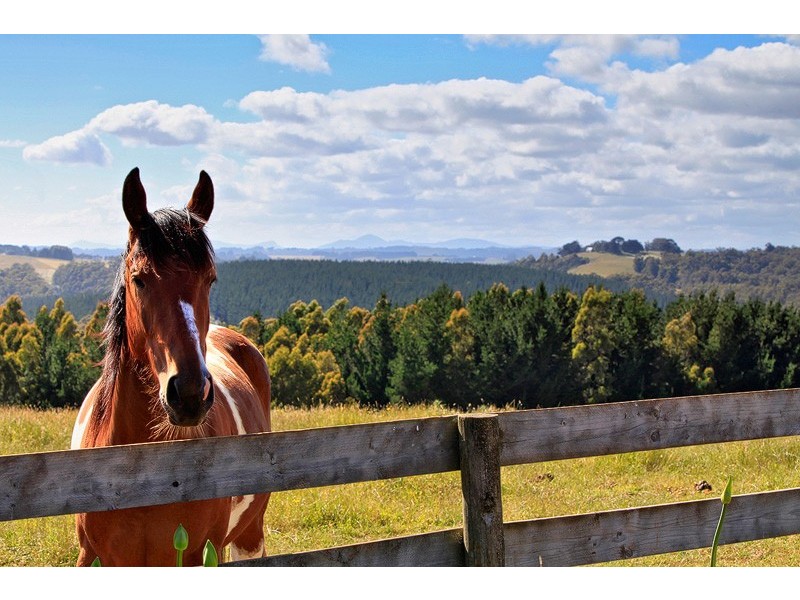617 Deep Creek Road, Wynyard TAS 7325