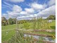 202 South Elliott Road, Elliott TAS 7325