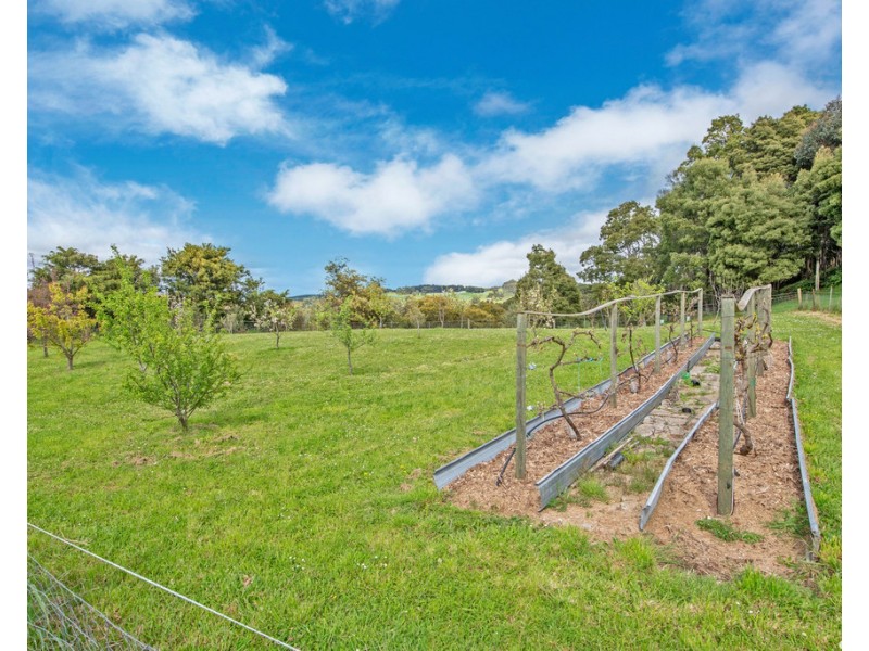 202 South Elliott Road, Elliott TAS 7325