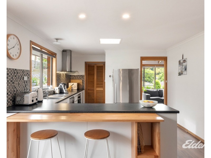 39 Chanel Street North, Park Grove TAS 7320