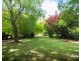 61D West Mooreville Road, Park Grove TAS 7320