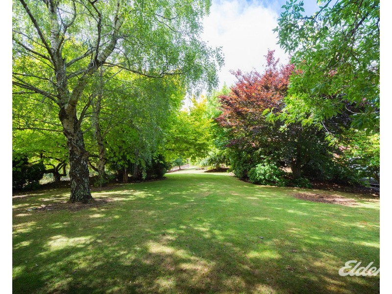 61D West Mooreville Road, Park Grove TAS 7320