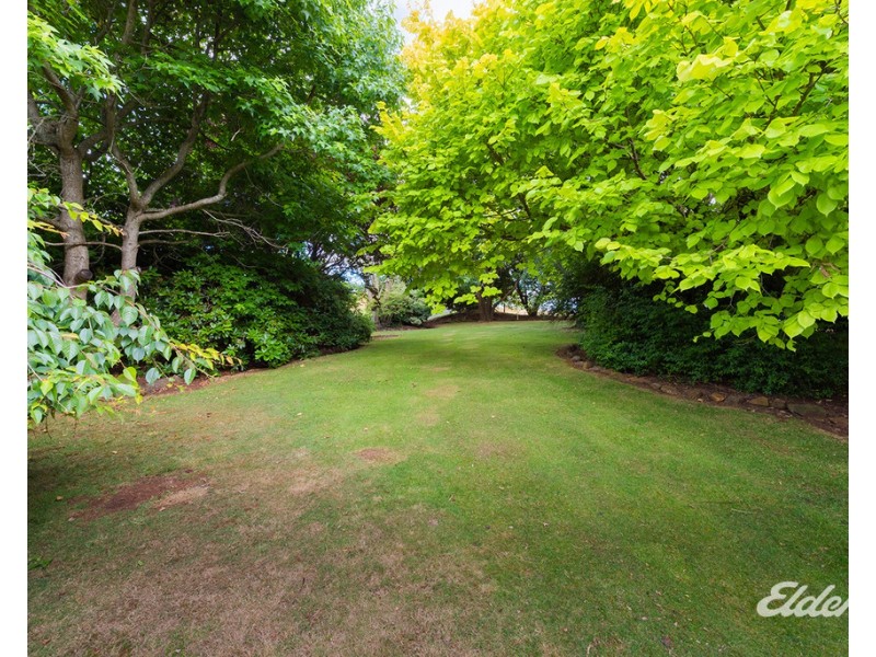 61D West Mooreville Road, Park Grove TAS 7320