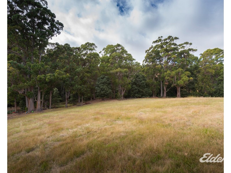 61D West Mooreville Road, Park Grove TAS 7320