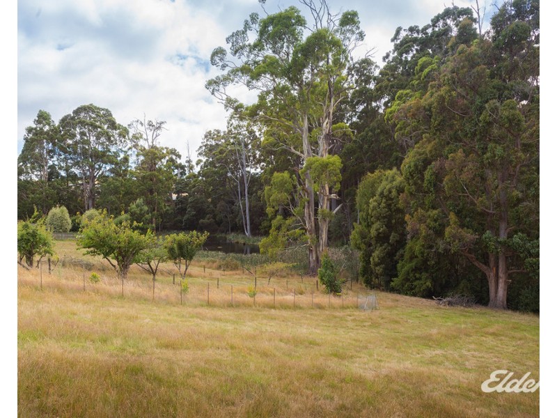61D West Mooreville Road, Park Grove TAS 7320