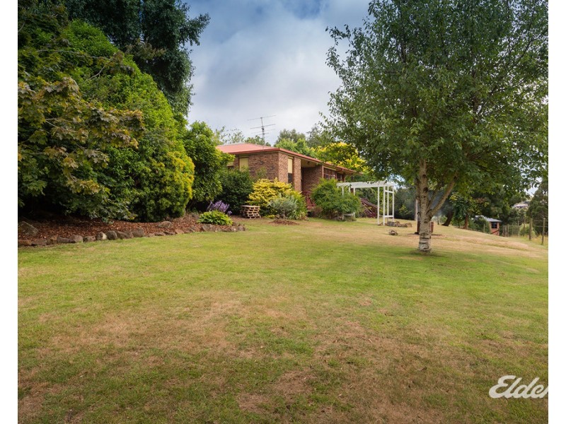 61D West Mooreville Road, Park Grove TAS 7320