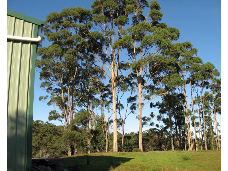 27891 Lyell Highway, Strahan TAS 7468