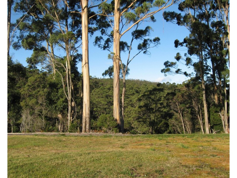 27891 Lyell Highway, Strahan TAS 7468