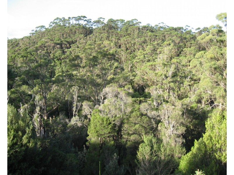 27891 Lyell Highway, Strahan TAS 7468