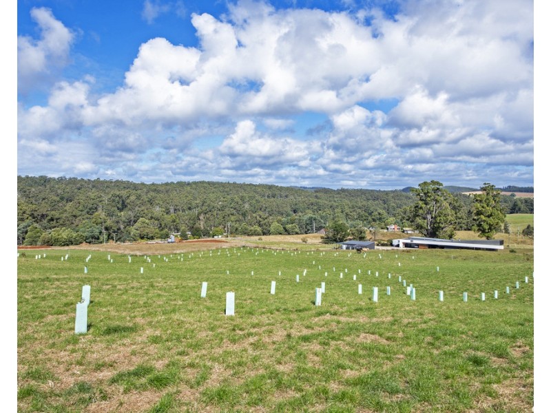 82 Hoares Lane, Elliott TAS 7325