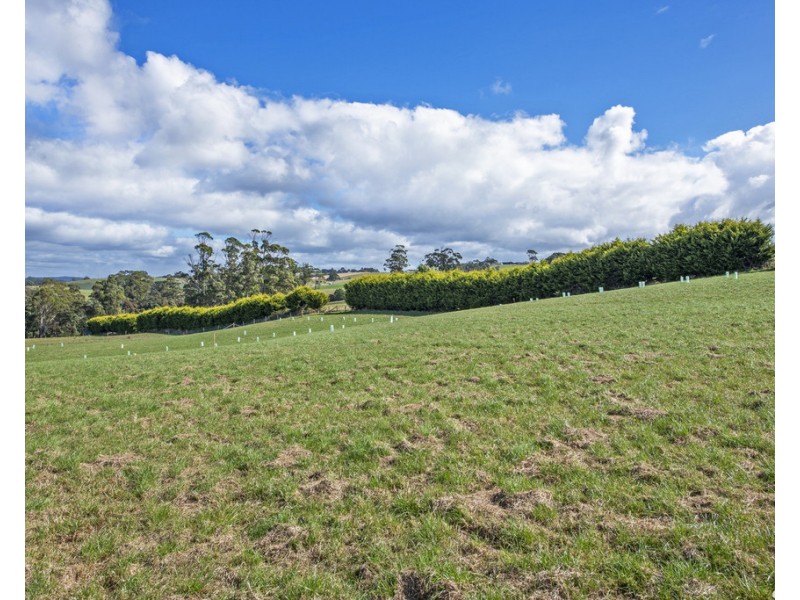82 Hoares Lane, Elliott TAS 7325