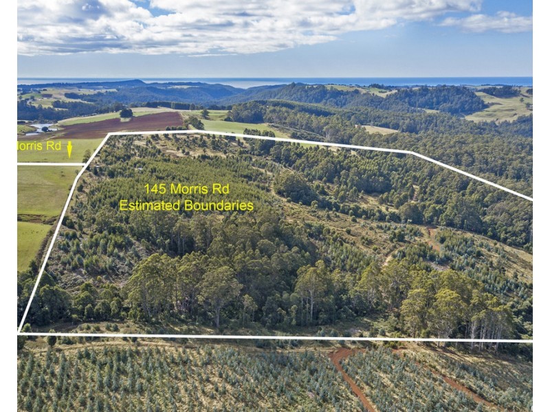 145 Morris Road, Natone TAS 7321