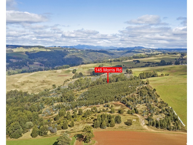 145 Morris Road, Natone TAS 7321