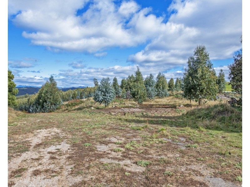 145 Morris Road, Natone TAS 7321