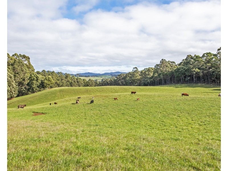 0 McGees Road, Moorleah TAS 7325