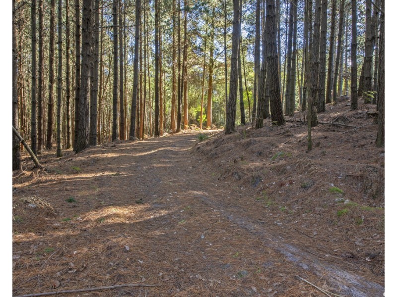 0 McGees Road, Moorleah TAS 7325