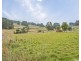 1265 Deep Creek Road, Mount Hicks TAS 7325