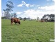 55 Coopers Lane, Wynyard TAS 7325