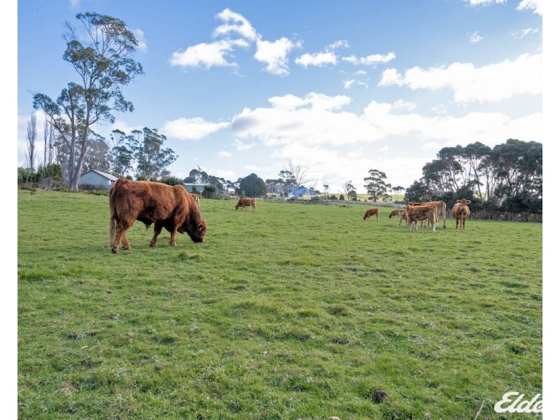 55 Coopers Lane, Wynyard TAS 7325