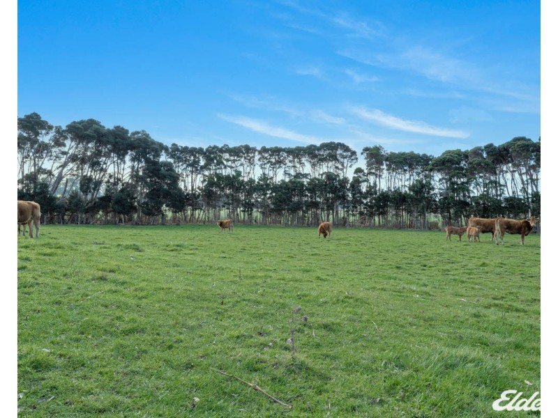 55 Coopers Lane, Wynyard TAS 7325