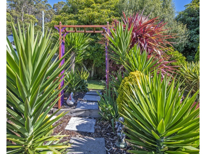 16 Pelissier Street, Somerset TAS 7322