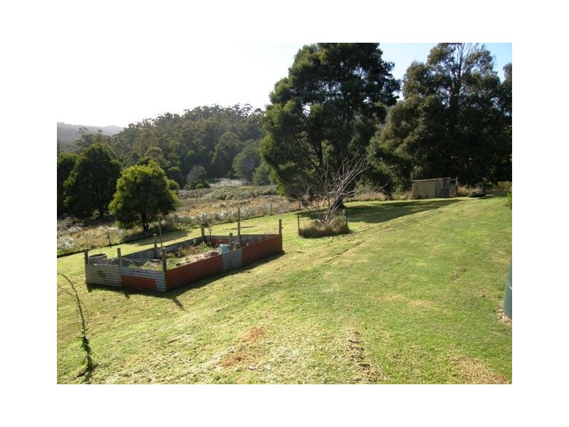 163 Loonah Road, Natone TAS 7321