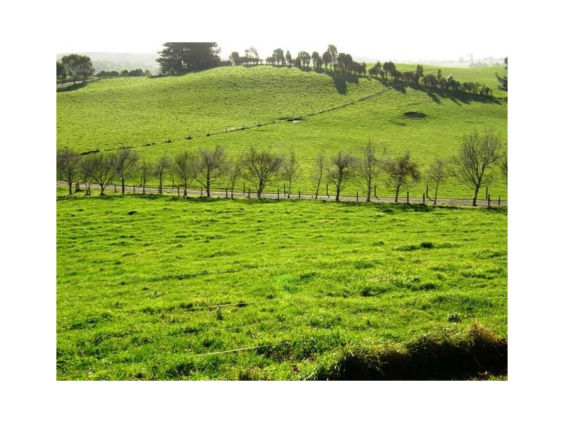 718 Circular Road, Ridgley TAS 7321