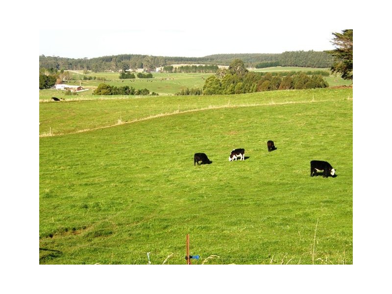 718 Circular Road, Ridgley TAS 7321