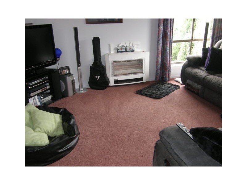 20 Mills Road, Park Grove TAS 7320