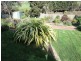 41 Mills Road, Burnie TAS 7320