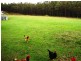 2171 Ridgley Highway, Hampshire TAS 7321