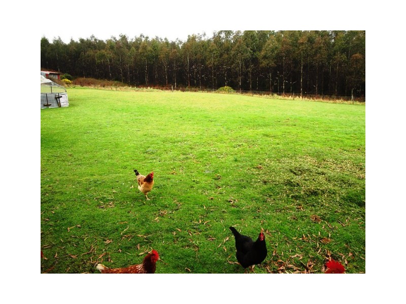 2171 Ridgley Highway, Hampshire TAS 7321