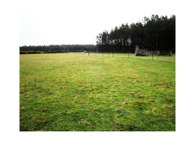 2171 Ridgley Highway, Hampshire TAS 7321