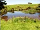 3 Upper Stowport Road, Stowport TAS 7321