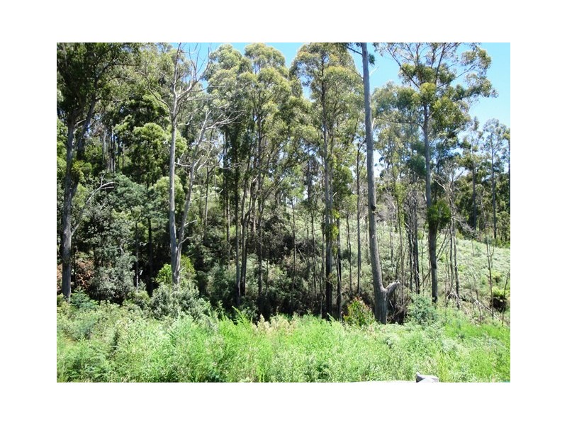 421 Back Cam Road, Somerset TAS 7322