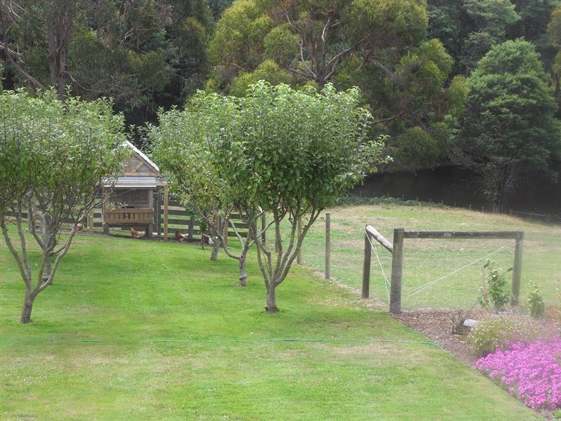 86 Hardys Road, Penguin TAS 7316