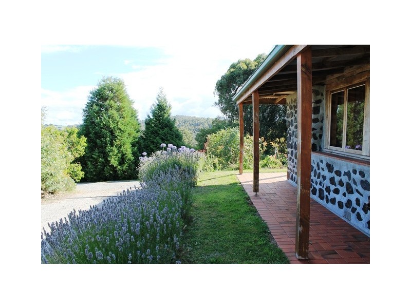 384 Cuprona Road, Cuprona TAS 7316