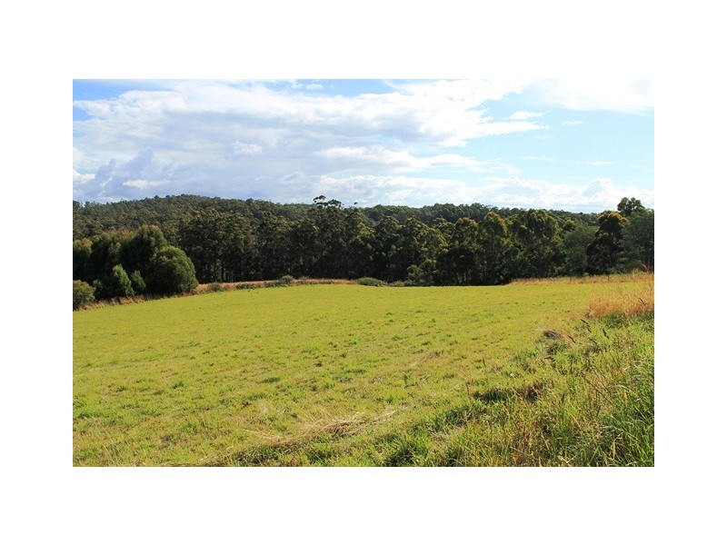 384 Cuprona Road, Cuprona TAS 7316