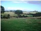 698 Ridgley Highway, Ridgley TAS 7321